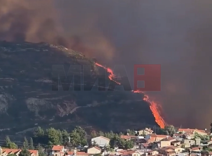 Në Qipro për shkak të zjarrit pyjor evakuohen katër fshatra