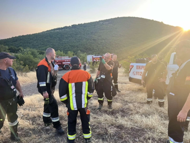 Гори шума над селото Нивичани, загрозени викенд куќички, интервенираат пожарникари, ДПД и работници на „Национални шуми“