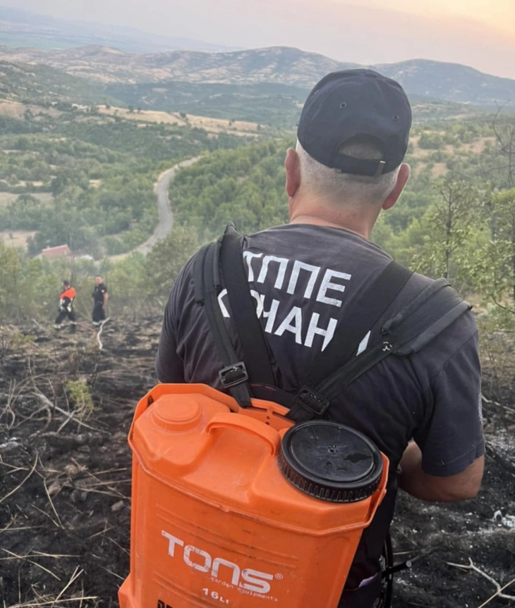 Изгаснат пожарот кај селото Нивичани