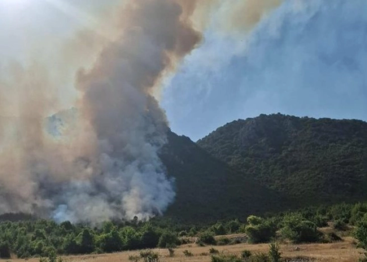 Голем пожар во Националниот парк 