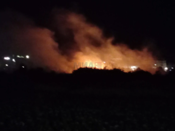 Пожар во Нова Битола, пожарникарите на терен