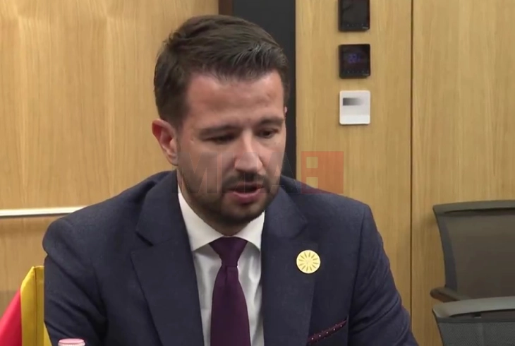 Milatoviq kërkon ndihmë ndërkombëtare për shuarjen e zjarreve në Malin e Zi