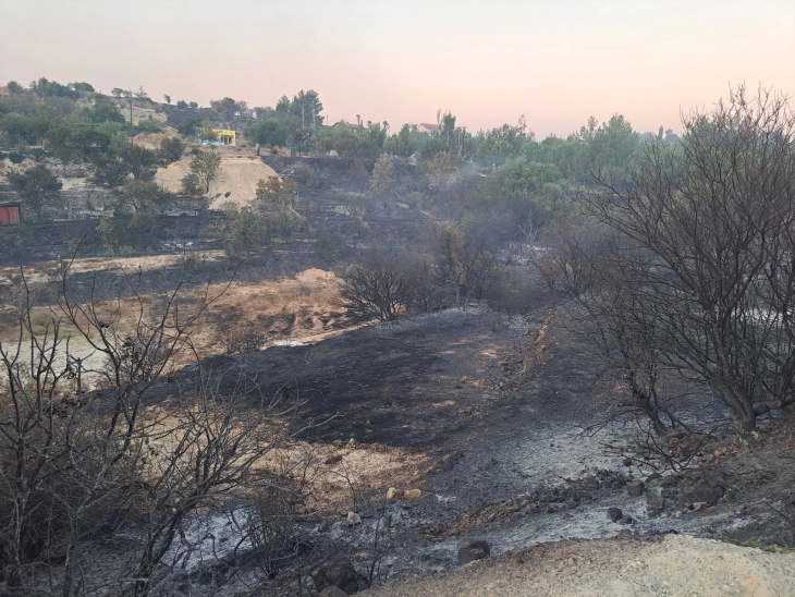 Presidenti i Qipros kërkoi falje për përgjigjen joadekuate të shtetit për zjarret në Liamsol