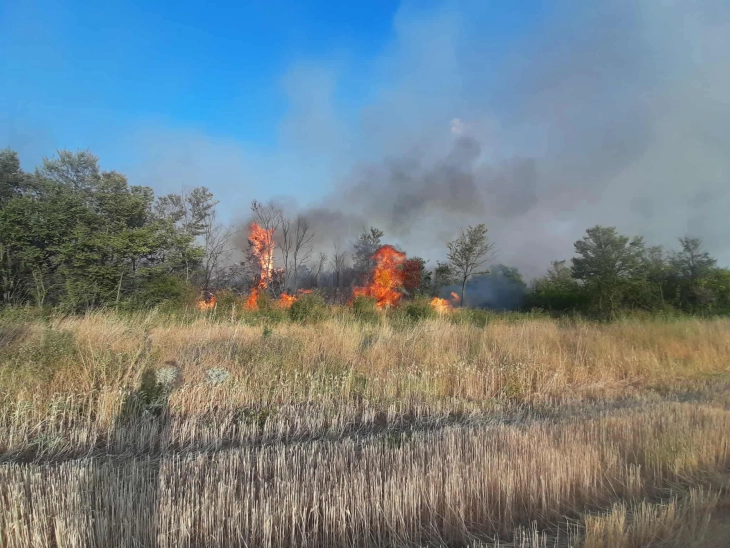 Општина Куманово апелира за внимателност поради зголемена опасност од пожари