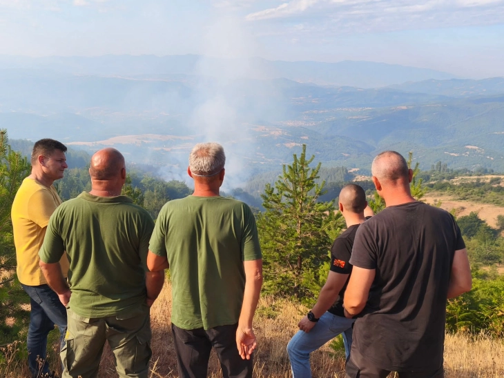Македонска Каменица: Делумен напредок во гаснењето на пожарот кај селата Косевица и Моштица