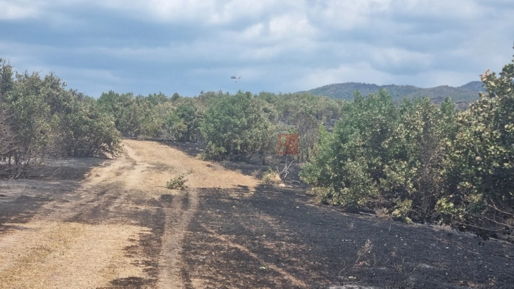 Пожарот на планината „Готен“ на радовишка страна под контрола