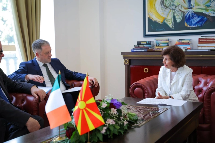 Siljanovska-Davkova drejtuar Birn: Irlanda të vazhdojë të avokojë për një proces pranimi të besueshëm të bazuar në meritë