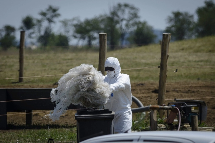 Anthrax confirmed in 44 samples of dead livestock in Croatia