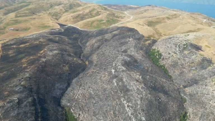 Во Албанија во јули опожарени 28 илјади хектари површина, со предизвикана штета од 160 милиони евра