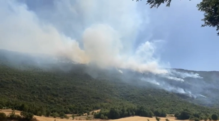 Zjarr i ri në Zhelinë, janë angazhuar dy 