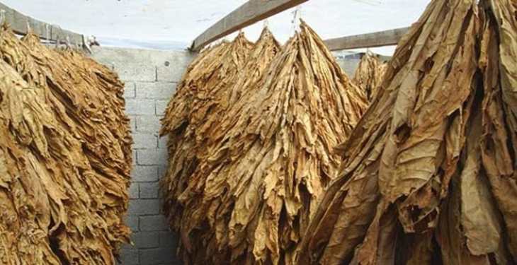 Измени во Законот за тутун за заштита на домашното производство:  Забранет е увоз додека трае откупот