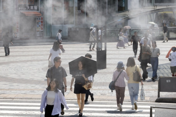 Јапонија регистрира рекордно високи температури, стравувањата растат за реколтата на ориз