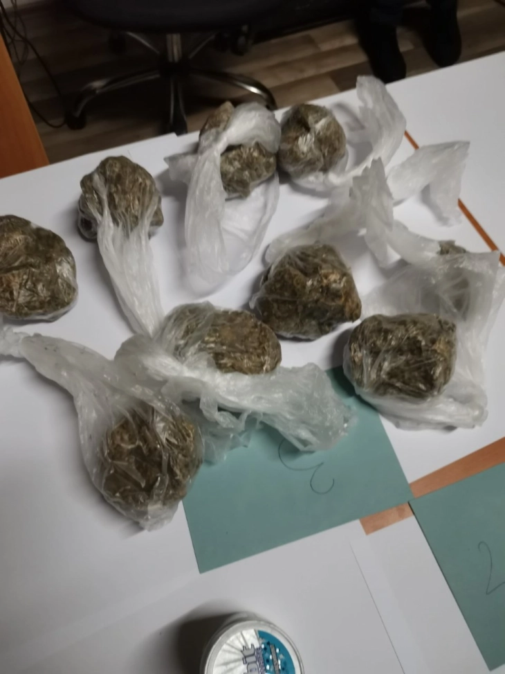 Претреси во Кочани и Штип, пронајдена дрога, лишени од слобода три лица