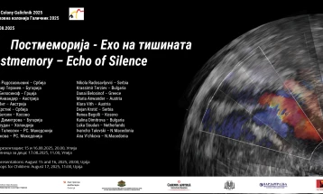 Ликовна колонија „Галичник 2025“ од 12 до 18 август