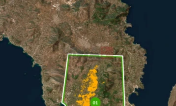 Нешто помалку од 1.600 хектари изгореле во пожарот во близина на Атина