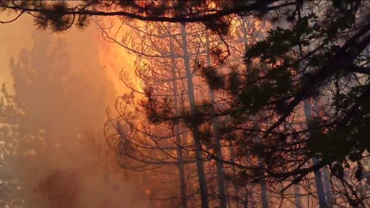 Angellov: Lufta me zjarrin në fushën e gjuetisë Jasen vazhdon - me sukses është shuar një vijë, terreni mbetet kritik