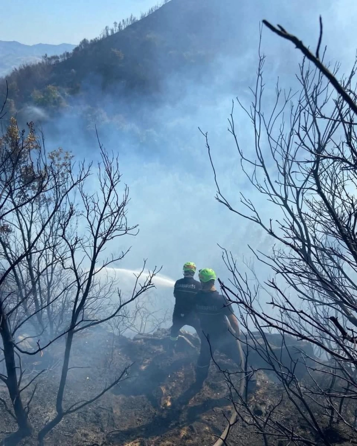 Албанија: За подметнување пожар осомничени 125 лица, во притвор 22, Рама најави дека потпалувањето ќе се казнува како  убиство