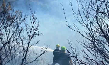 Албанија: За подметнување пожар осомничени 125 лица, во притвор 22, Рама најави дека потпалувањето ќе се казнува како  убиство