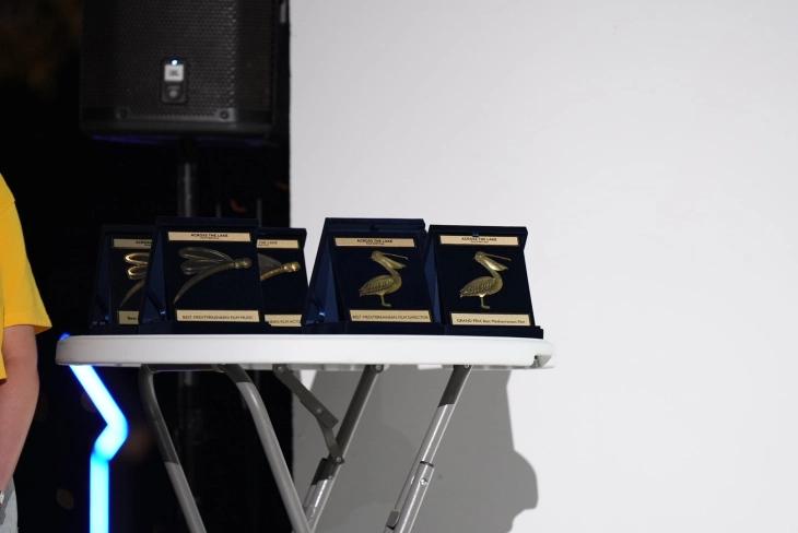 „Мали проблематични девојки“  најдобар медитерански филм на фестивалот „Преку езерото“