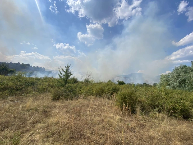 ЦУК: Пожар од поголеми размери избувна кај Октиси, авион на ДЗС на пат кон локацијата