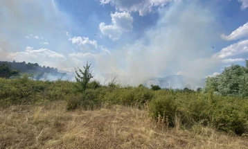 ЦУК: Пожар од поголеми размери избувна кај Октиси, авион на ДЗС на пат кон локацијата
