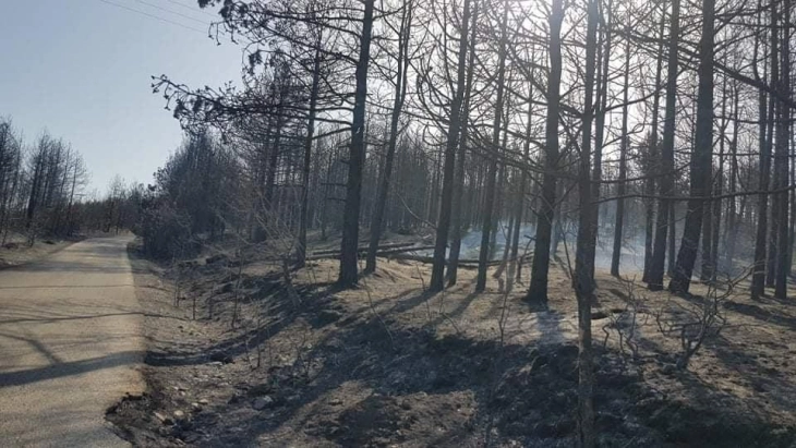 Пошумувањето значајна мерка за намалување на негативните ефекти од пожарите