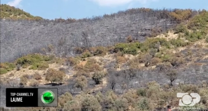 Në Shqipëri këtë vit janë djegur 54 mijë hektarë tokë, 207 shtëpi, prej të cilave 40 janë djegur plotësisht