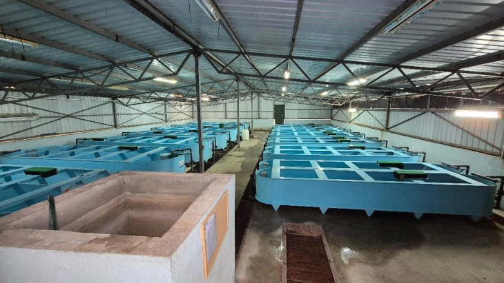 Охридското Езеро порибено со ендемичниот вид пастрмка обезбедена преку вештачки мрест