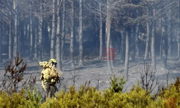 Zjarret pyjore në BE në vitin 2025 shkatërruan 511.000 hektarë, sipërfaqe nëntë herë më e madhe se Shkupi