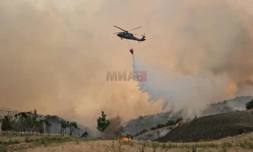 Në Shqipëri arrestohen tre persona për zjarrvënie të qëllimshme, situata me zjarret është përmirësuar