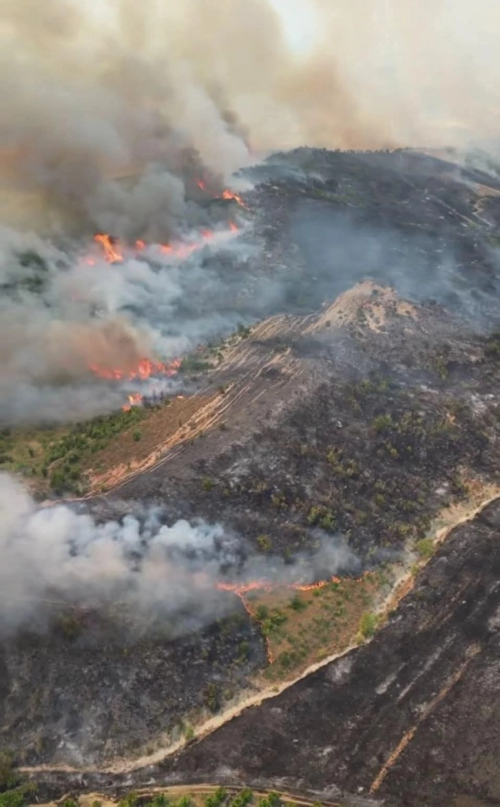 Албанската влада ќе ги обнови опожарените и изгорени куќи, а ќе ги обештети и земјоделците