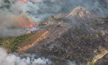 Албанската влада ќе ги обнови опожарените и изгорени куќи, а ќе ги обештети и земјоделците