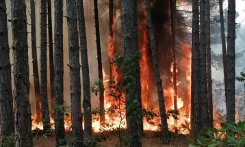Fire in Tetovo region remains active after reigniting