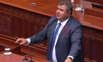 Micevski: BDI është kundër kandidatëve të pavarur në zgjedhjet lokale, u pengon edhe pragu prej 0,5 për qind