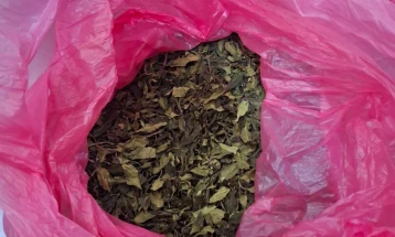 На аеродромот во Атина откриени 500 килограми дрога Кат во вредност од 1,5 милиони евра