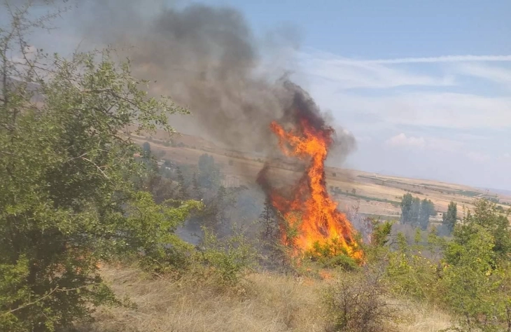Три активни пожари - во Јасен, Студеничани и Липково