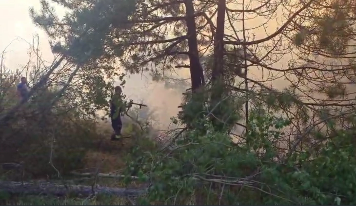 CMC: Seven active wildfires, 12 extinguished, one under control 