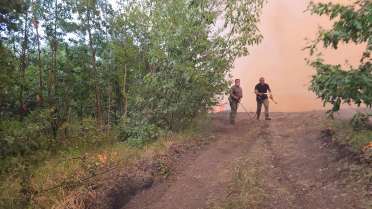 Ангелов: Силниот ветер ја влоши состојбата со пожарот во „Јасен“, но не се повлековме и ги сопревме пламените јазици