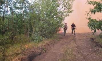 Angelov: Era e fortë e përkeqësoi situatën me zjarrin në 