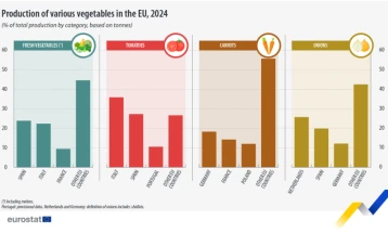 Евростат: Италија, Шпанија и Франција се европски лидери во производство на зеленчук