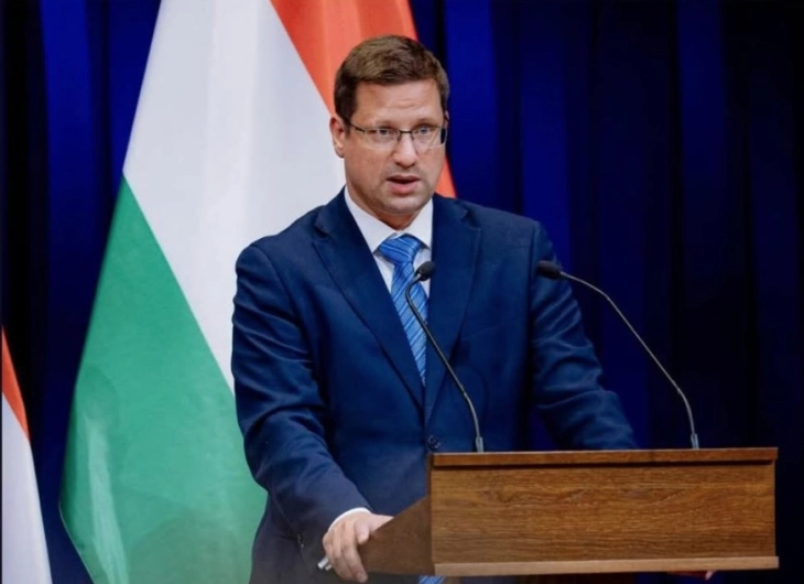 Гујаш: Украина не е достојна да биде во ЕУ