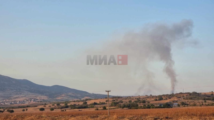 QMK: Dje kishte 29 zjarre në hapësira të hapura, aktiv është edhe një