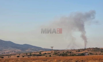 QMK: Dje kishte 29 zjarre në hapësira të hapura, aktiv është edhe një