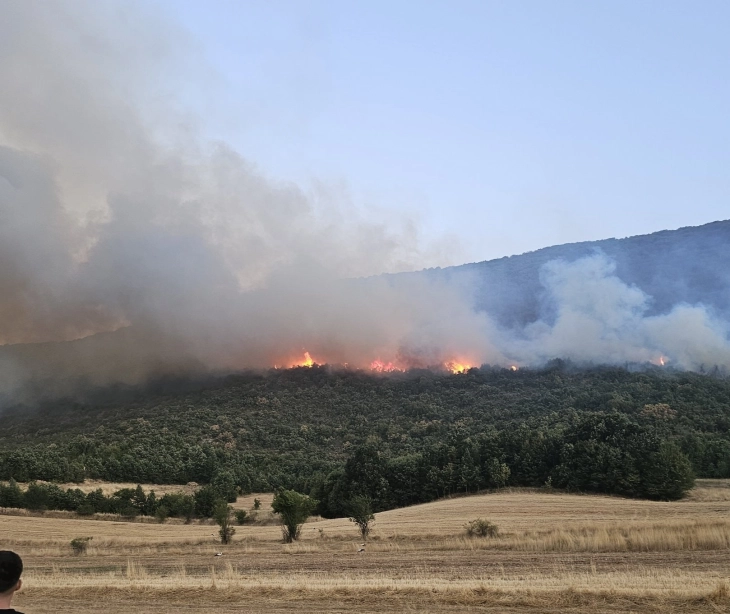 Се интервенира на четири пожари на планинските подрачја на Општина Желино, градоначалникот се сомнева дека се подметнати