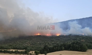 Po intervenohet në katër zjarre në zonat malore të komunës së Zhelinës, kryetari i komunës dyshon se janë të qëllimshme