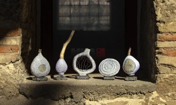 Документарецот „Земја и крилја“ на Стефан Малешевиќ ја освои главната награда на 16. „МакеДокс“