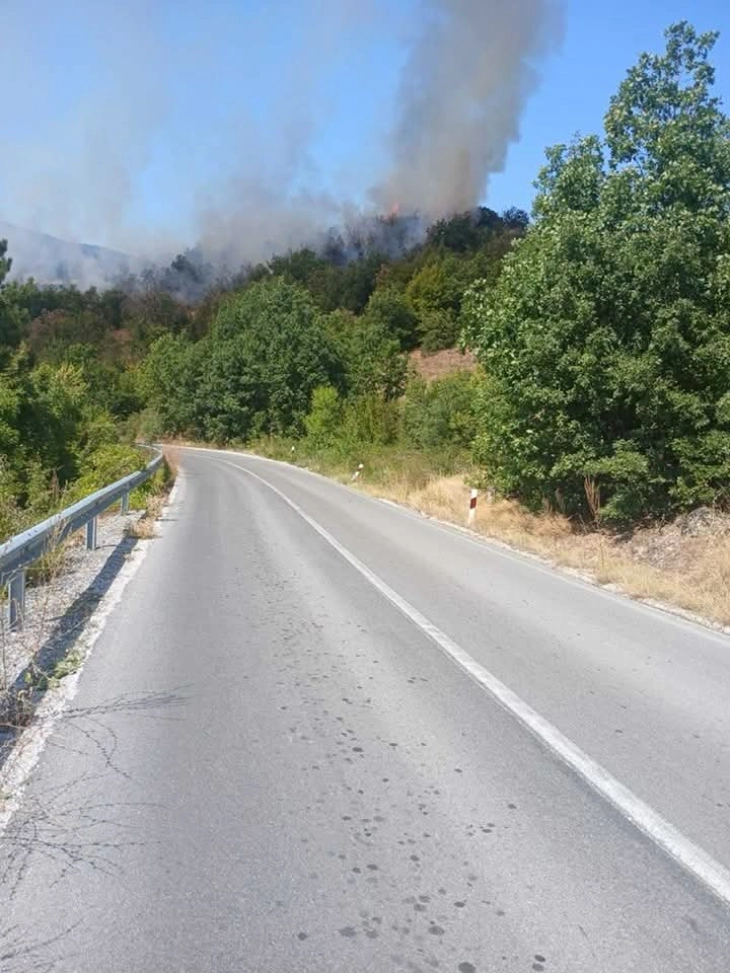 Подметнат пожар на локалитетот Мушов Гроб 