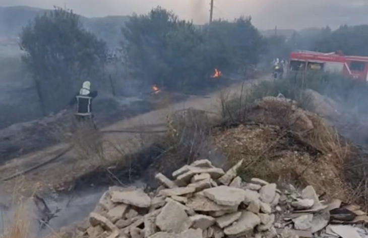 Костовски за МИА: Пожарот до училиштето и градинката „Св. Климент Охридски“ во Бутел е под контрола