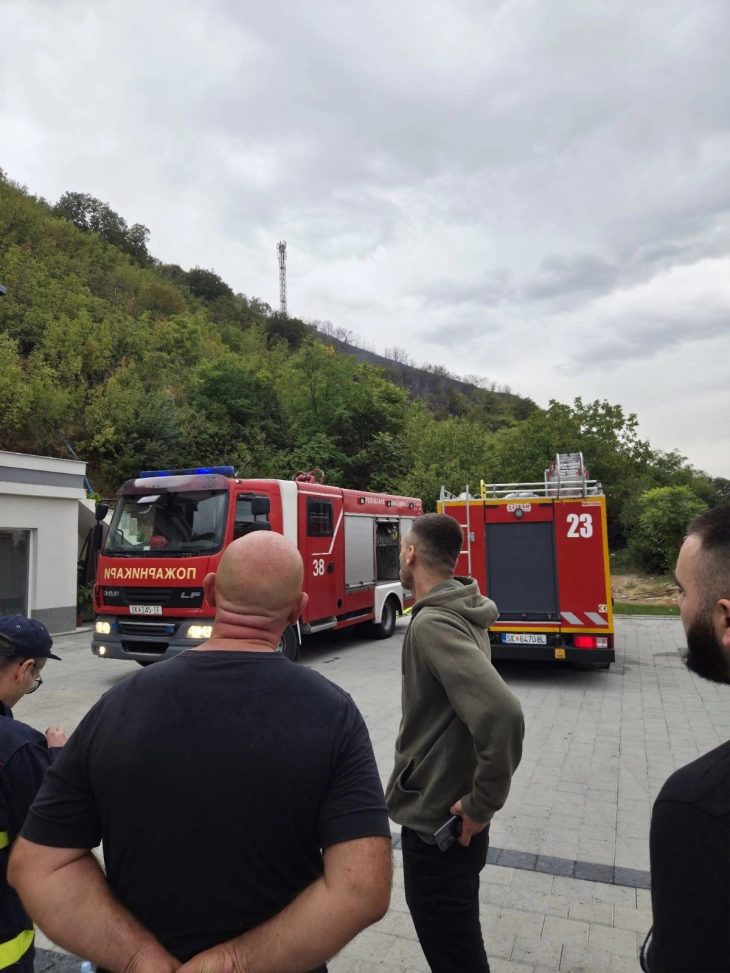 Пожарот над селото Локе - Крушопек е локализиран