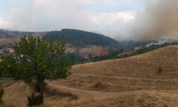 Gjashtë zjarre aktive, tre nën kontroll